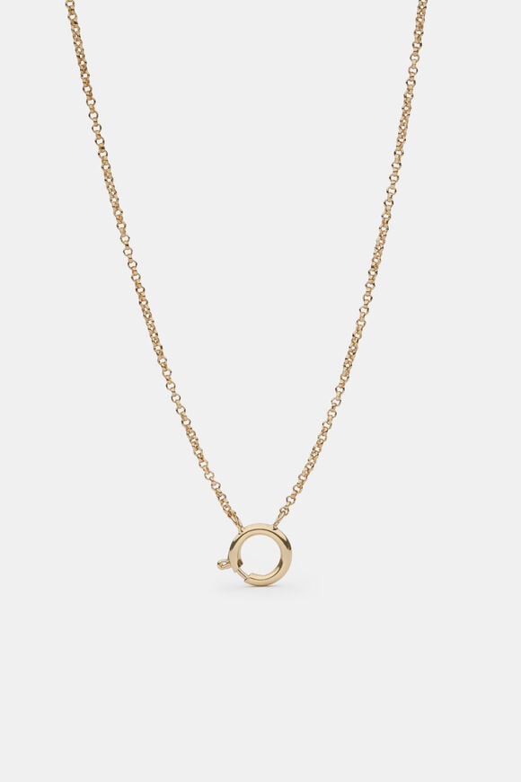 The Charm Collection Necklace  Gold  hi-res