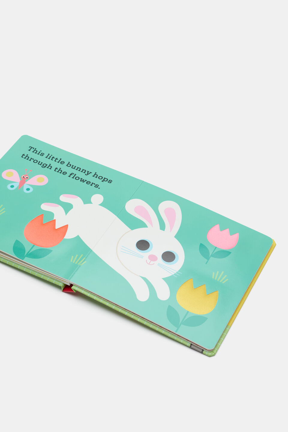 This Little Bunny Book  Multi