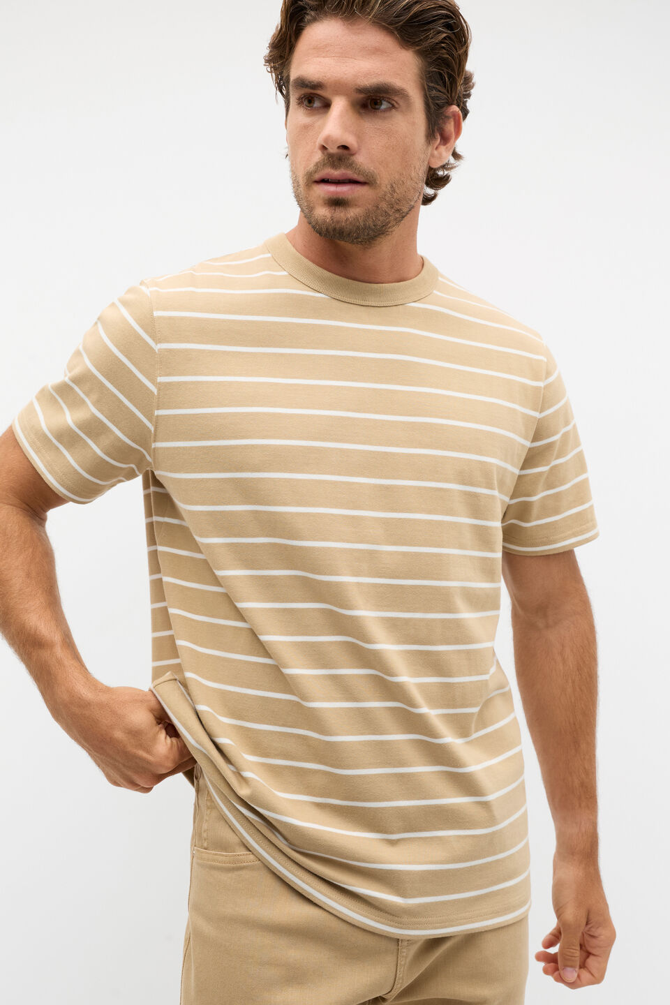 Crew Stripe Tee  Cashew Stripe