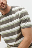 Crew Stripe Tee  Pale Olive Multi  hi-res