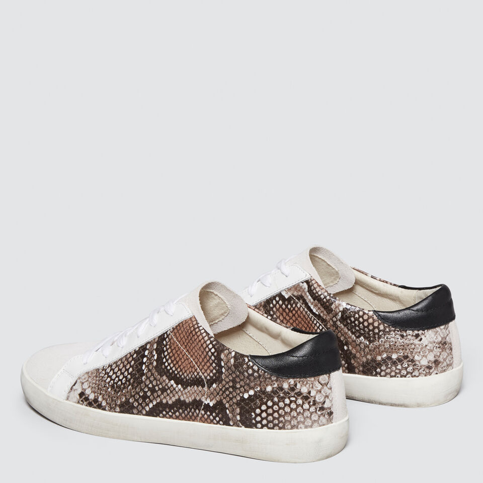 Ollie Leather Sneaker  