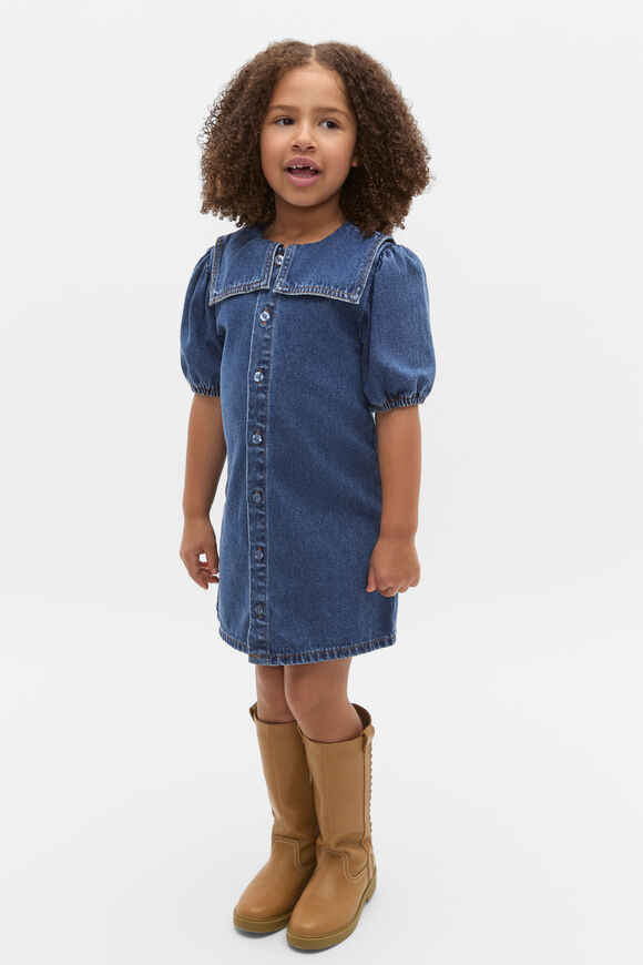 Collar Denim Dress  Indigo  hi-res
