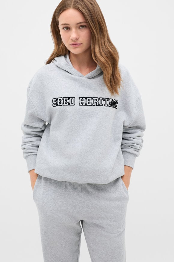 Logo Embroidered Hoodie  Cloud Grey Marle  hi-res