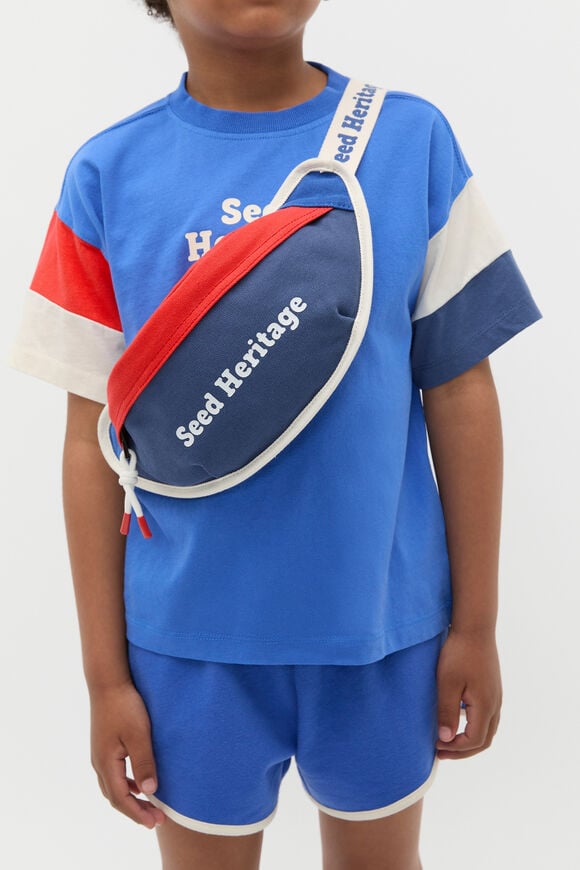 Bum Bag  Blue Multi  hi-res