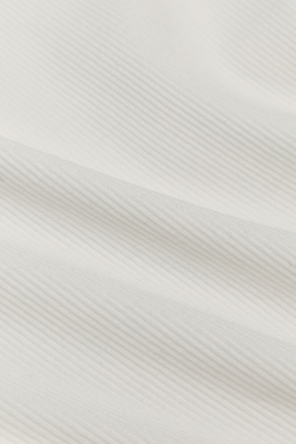 Core Rib Logo Wrap  Canvas