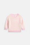Logo Stripe Knit  Posie Stripe  hi-res
