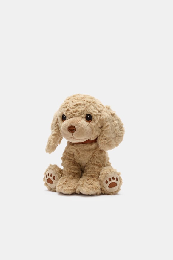 Keeleco Cavapoo  Multi  hi-res