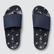Print Slide    hi-res