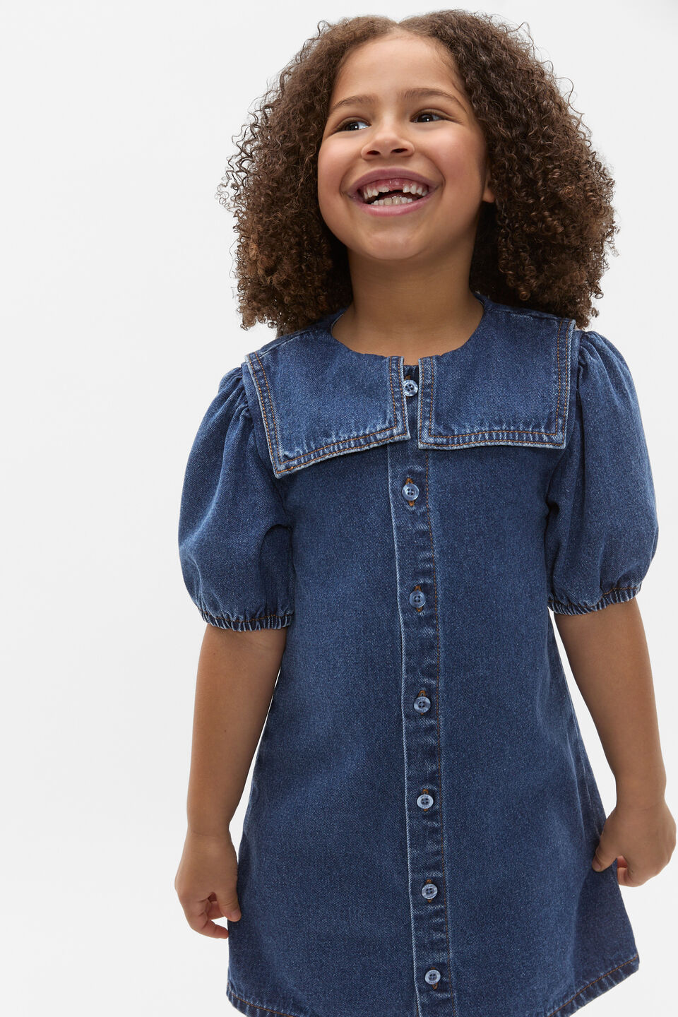 Collar Denim Dress  Indigo