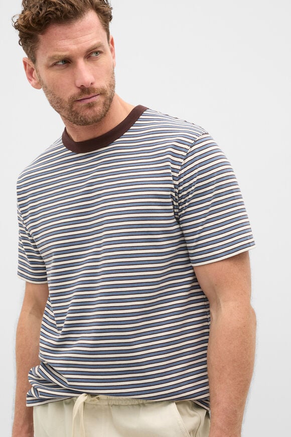 Crew Stripe Tee  Multi Choc Stripe  hi-res