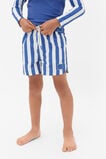 Stripe Boardshort  Retro Blue  hi-res