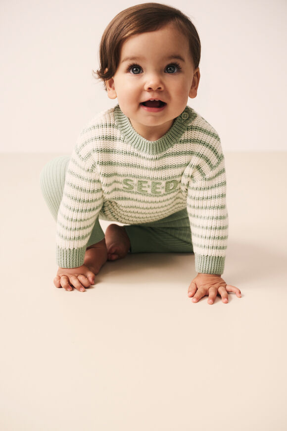 Logo Stripe Knit  Sage Stripe  hi-res