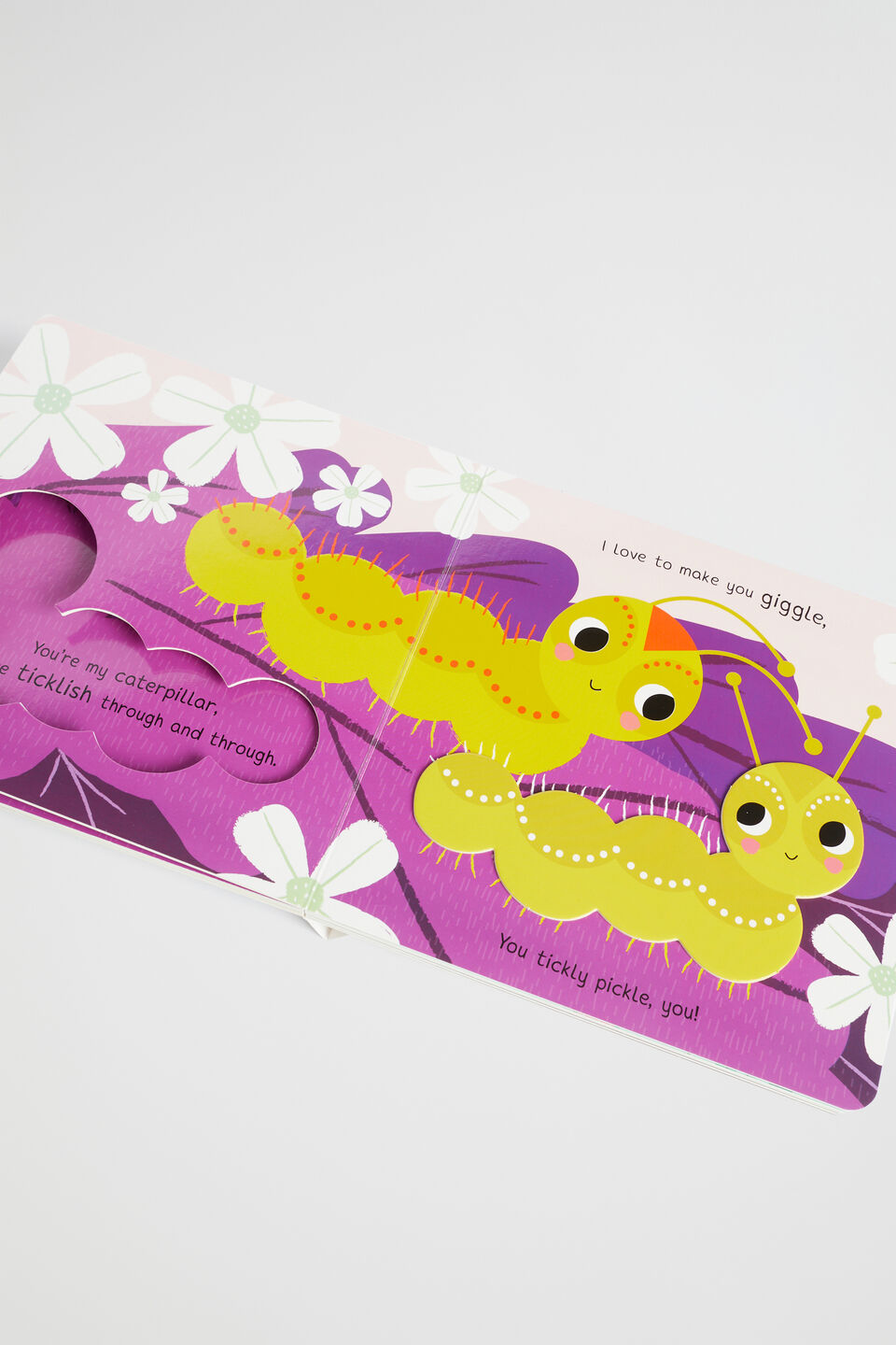 My Little Cuddle Bug Book  Multi