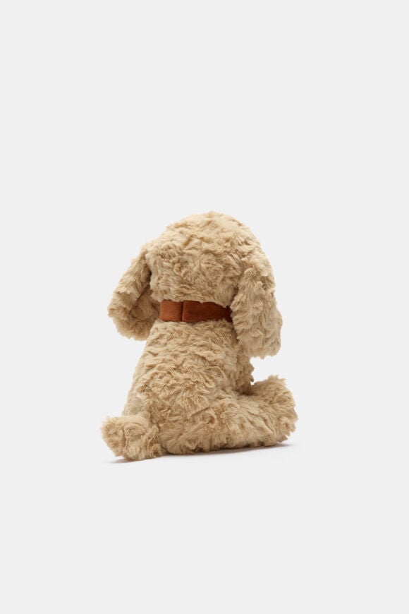 Keeleco Cavapoo  Multi  hi-res