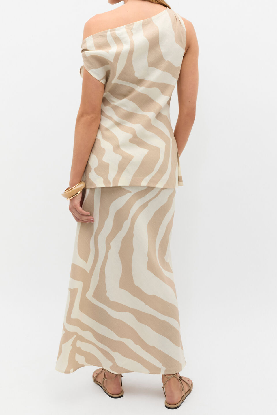 Abstract Animal Asymmetric Top  Abstract Animal