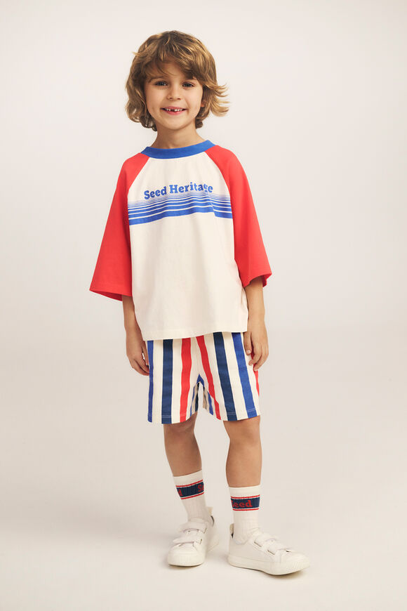 Bold Stripe Short  Multi Stripe  hi-res