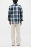 Long Sleeve Cotton Check Shirt  Blue Check  hi-res
