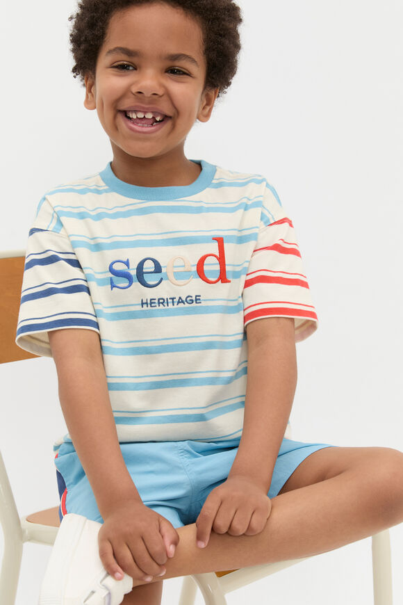Variegated Stripe Logo Tee  Multi Stripe  hi-res