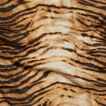 Tiger Print Scarf    hi-res