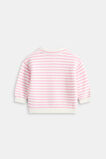 Core Logo Knit Sweater  Classic Cream  hi-res