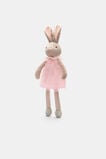Primrose Bunny  Multi  hi-res