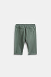 Core Logo Chino  Forest  hi-res
