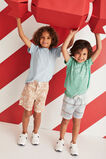 Stripe Oxford Short    hi-res