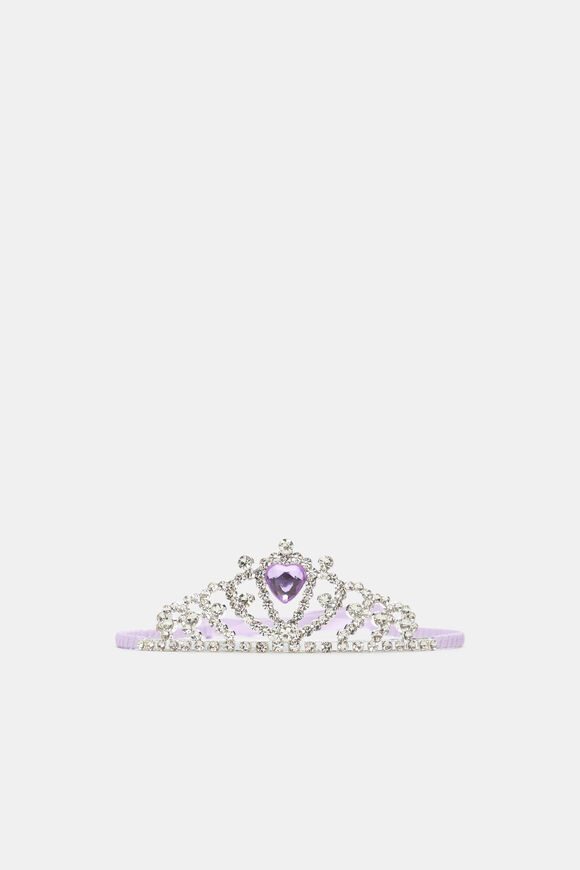 Tiara  Orchid  hi-res