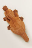 Lollybob Platypus    hi-res