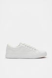 Canvas Trainer  Canvas  hi-res