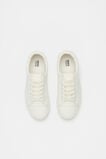 Canvas Trainer  Canvas  hi-res