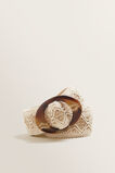 Detailed Belt  4  hi-res