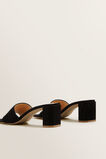 Remy Mule    hi-res