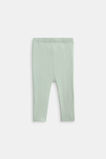 Rib Knit Pant  Sage  hi-res