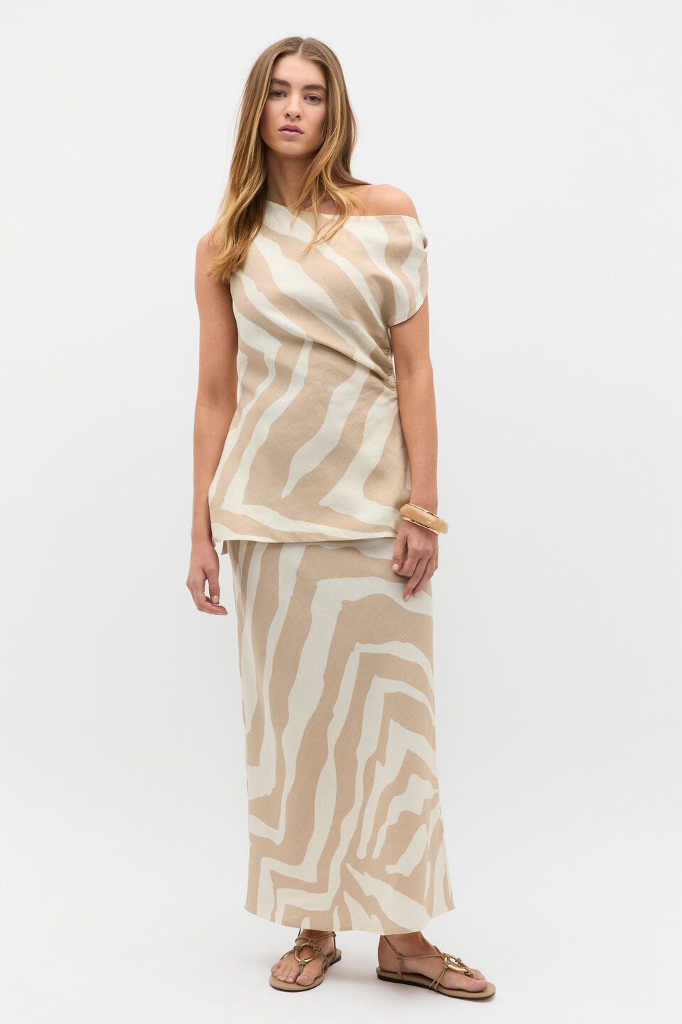 Abstract Animal Asymmetric Top  Abstract Animal