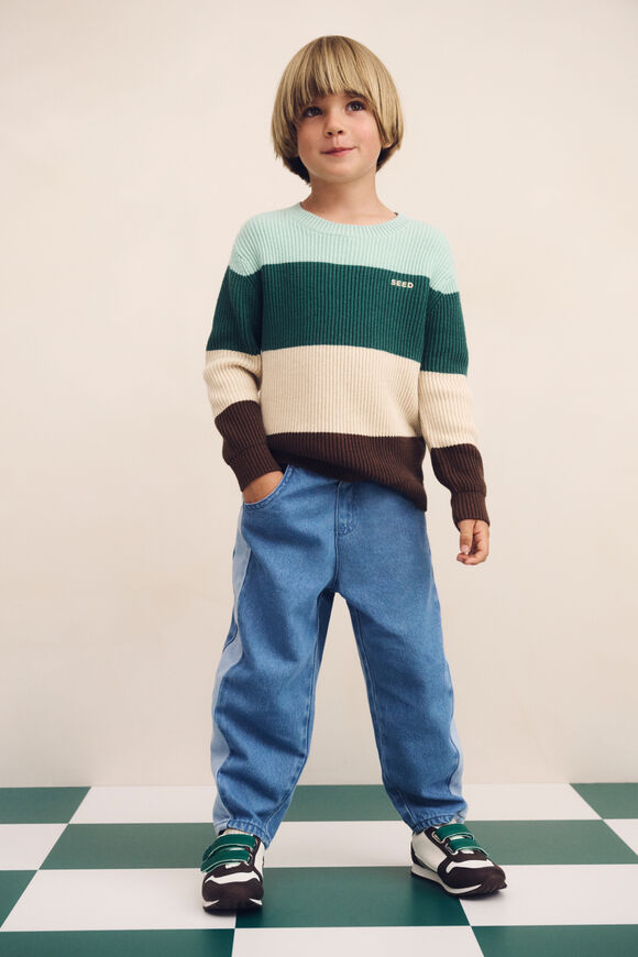 Stripe Crew Knit  Multi  hi-res