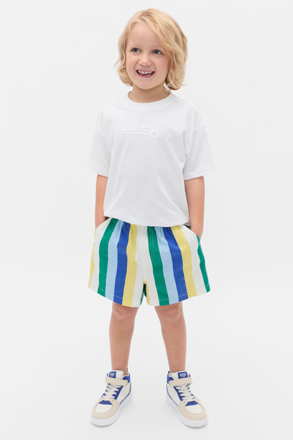 Multi Stripe Vacay Short  Apple Multi  hi-res