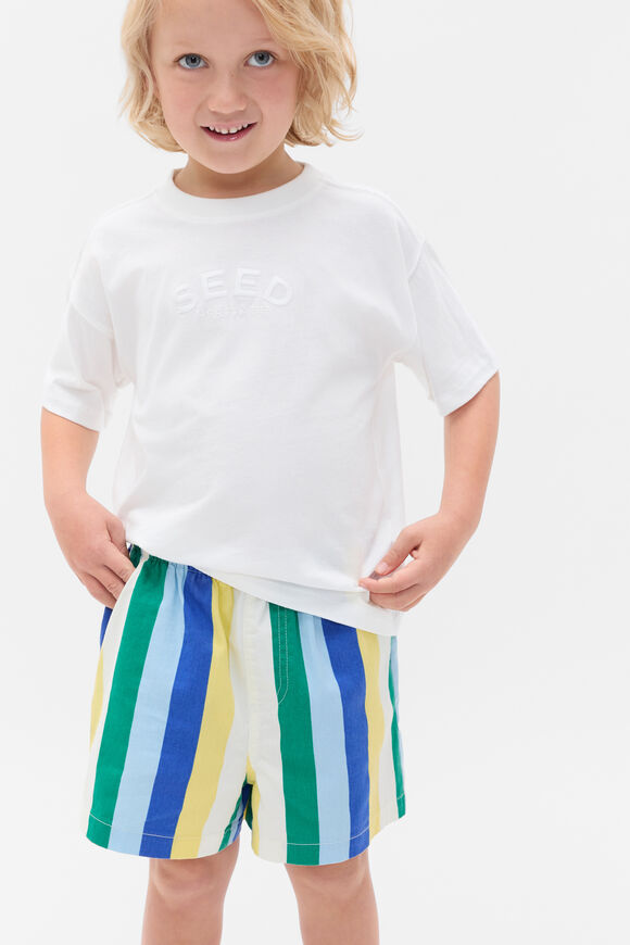 Multi Stripe Vacay Short  Apple Multi  hi-res