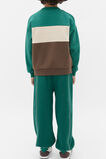 Colourblock Logo Sweat  Jungle Green  hi-res