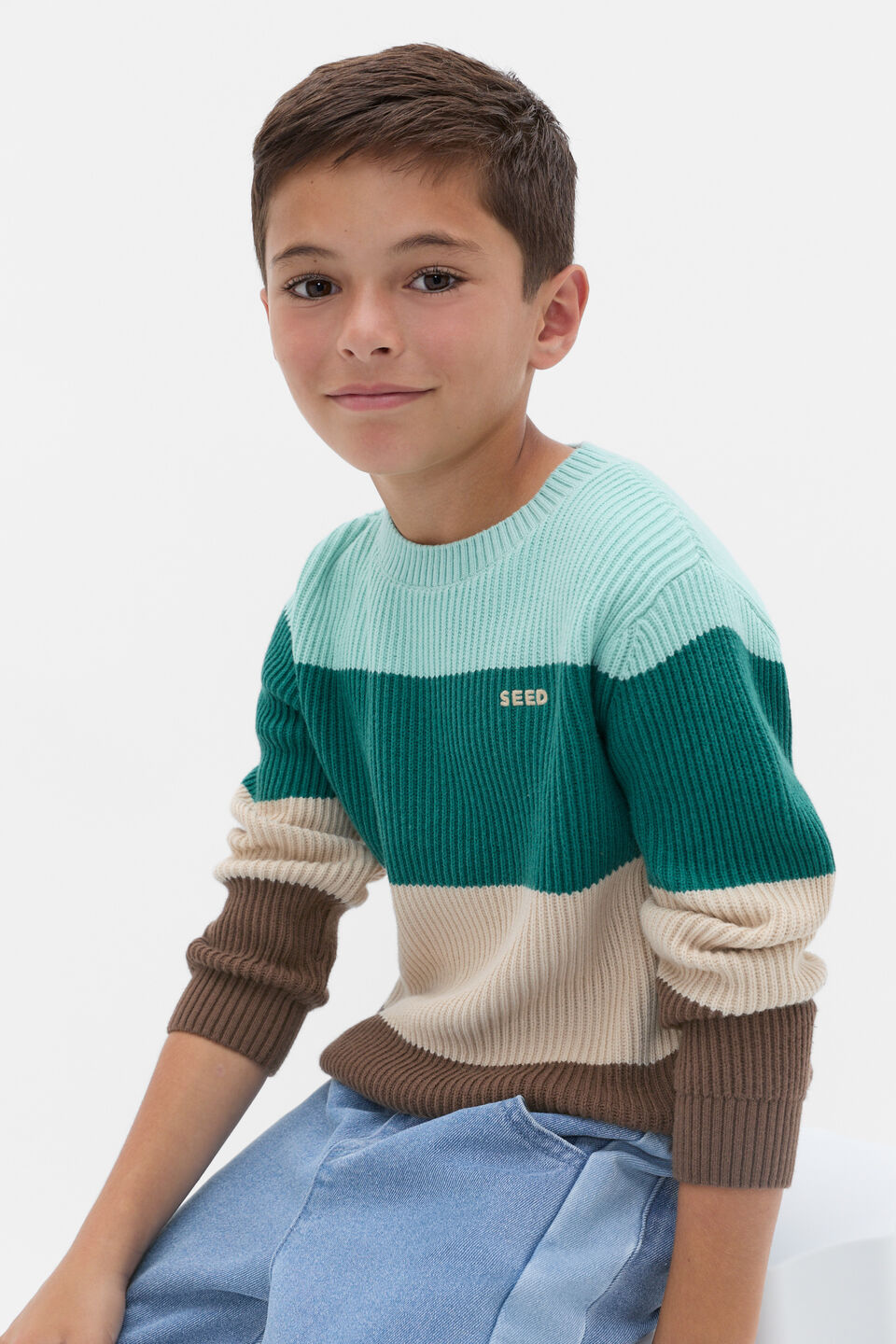Stripe Crew Knit  Multi