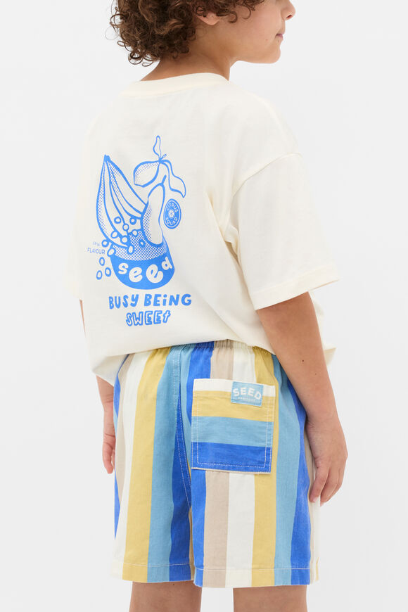 Multi Stripe Vacay Short  Electric Blue Multi  hi-res