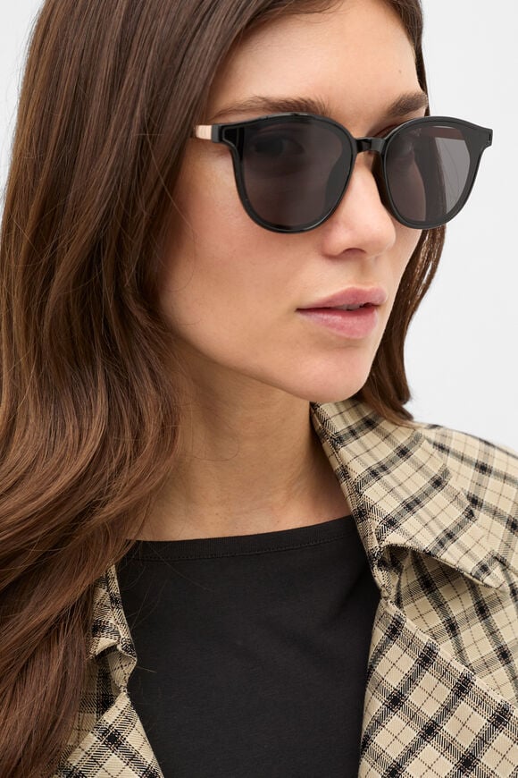 Jane Rounded Sunglasses  Black  hi-res