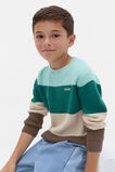 Stripe Crew Knit  Multi  hi-res