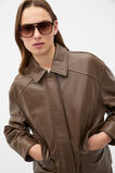 Lucy Navigator Sunglasses  Coffee Bean  hi-res