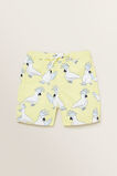 Cockatoo Short  5  hi-res