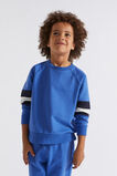 Colourblock Sweat  True Cobalt  hi-res