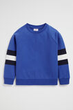 Colourblock Sweat  True Cobalt  hi-res