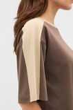 Contrast Sleeve Panel Boxy Tee  Chestnut  hi-res