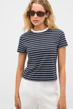Cotton Baby Tee  Twilight Blue Stripe  hi-res