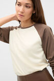 Spliced Raglan Long Sleeve Top  Chestnut  hi-res